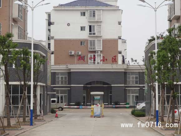 ������˫ҶС����ַ�꿭��֬����