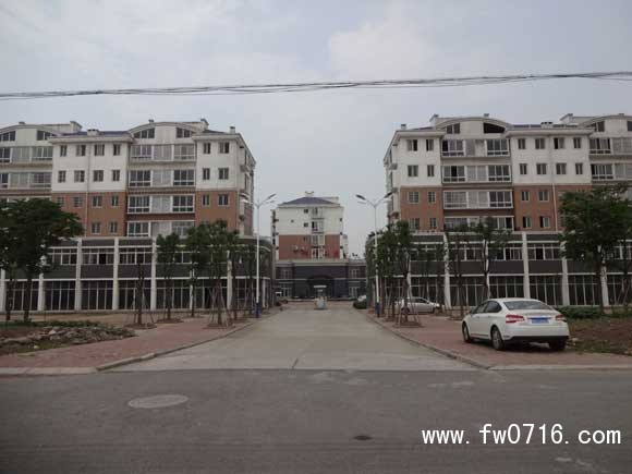 ������˫ҶС����ַ�꿭��֬����