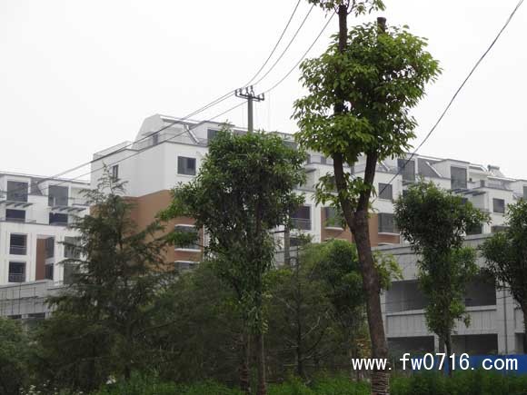 ������������ֻ�԰