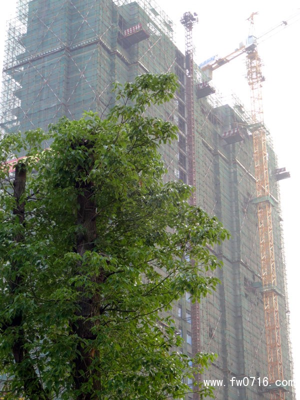 �����غͰ�����뵺