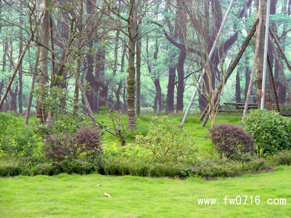 ����Ͱ�����뵺