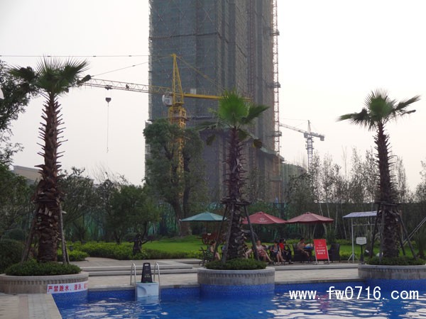 ����Ͱ�����뵺