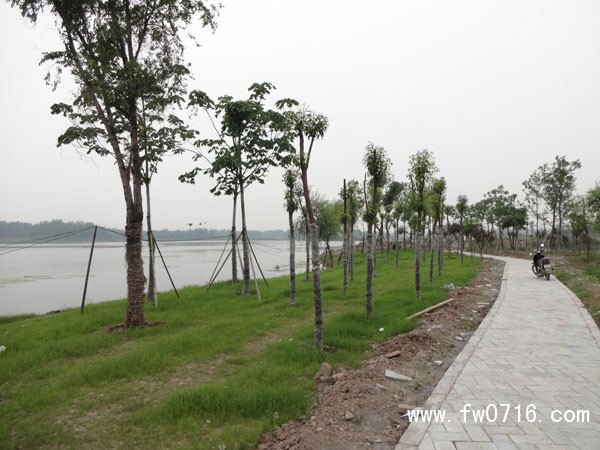 ��Ԩ��ʪ�ع�԰