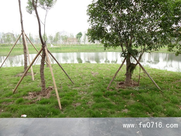 ��̲���������Ԩ��ʪ�ع�԰