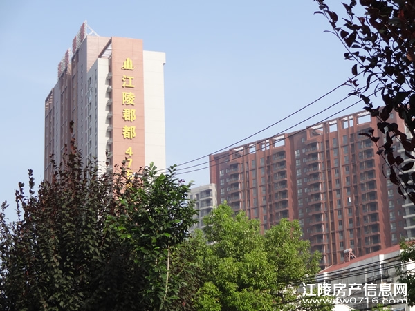 ���꿤���⾰ʵ��ͼ