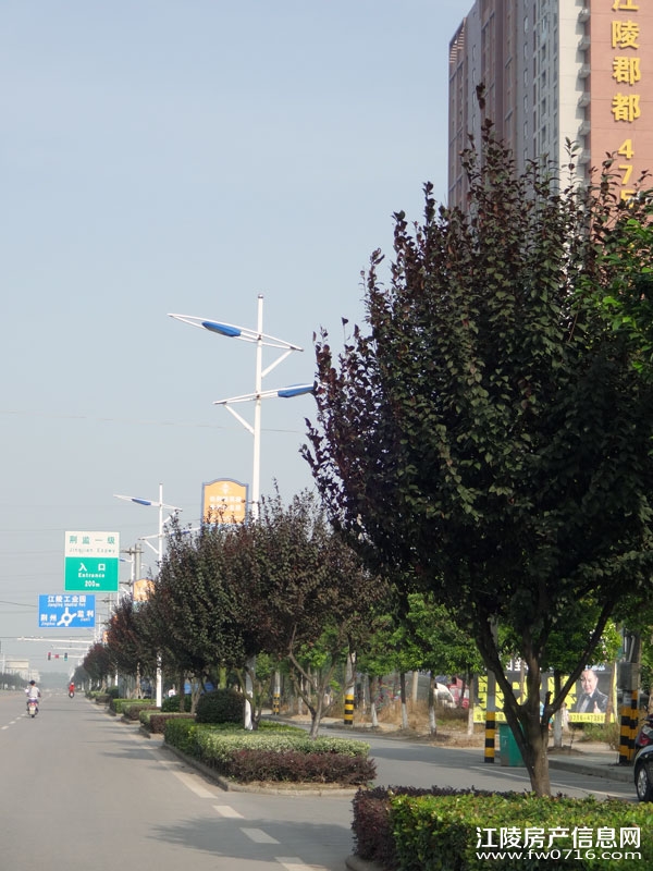 ���꿤���⾰ʵ��ͼ