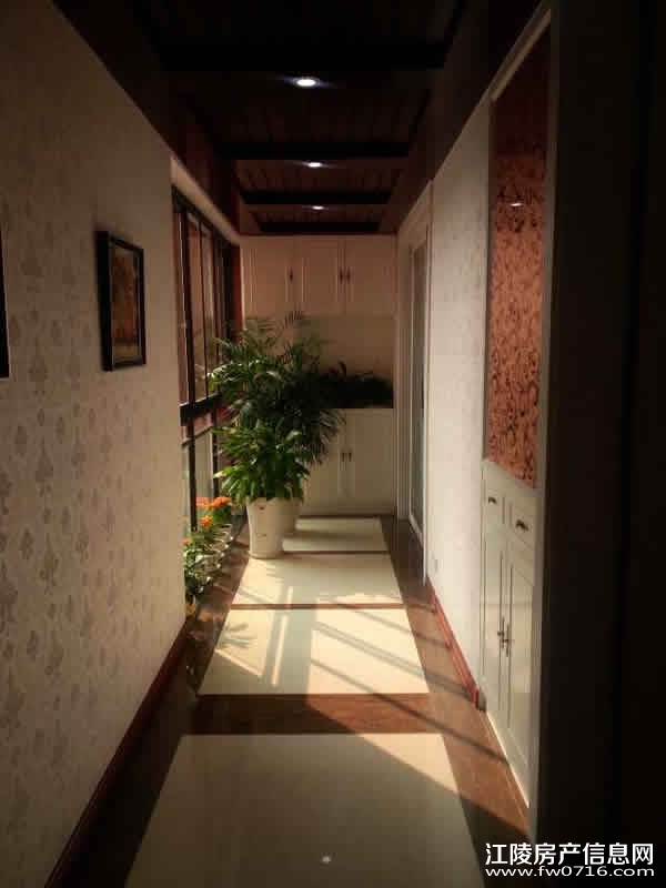 ���꿤�������