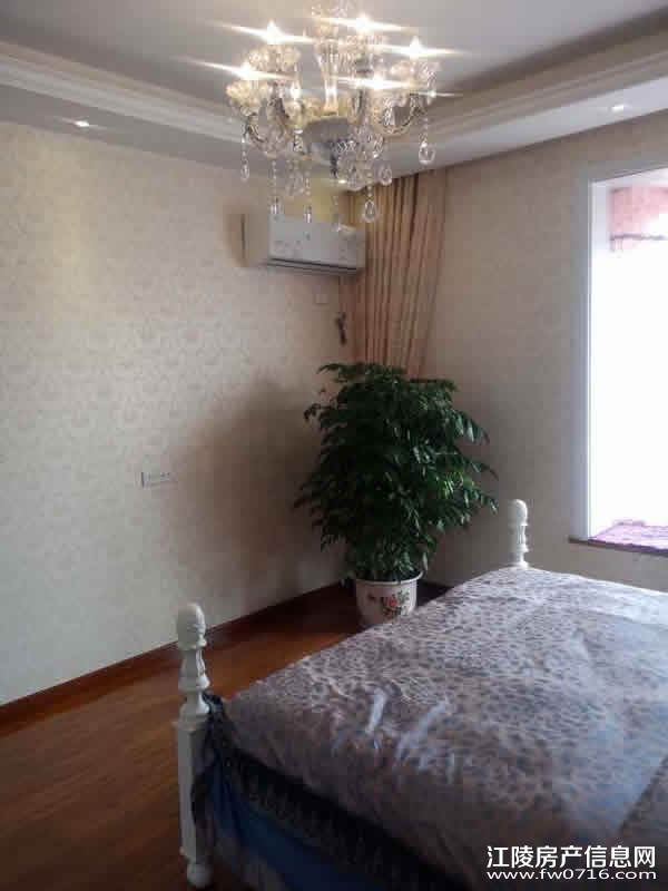 ���꿤�������