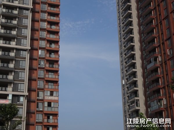 ���꿤��ʵ��ͼ