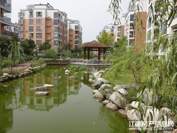 ������ֻ�԰