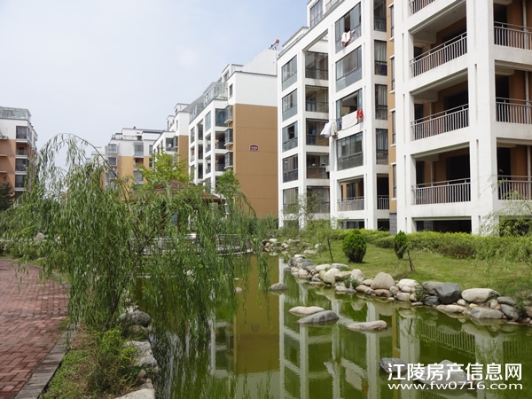 ������ֻ�԰