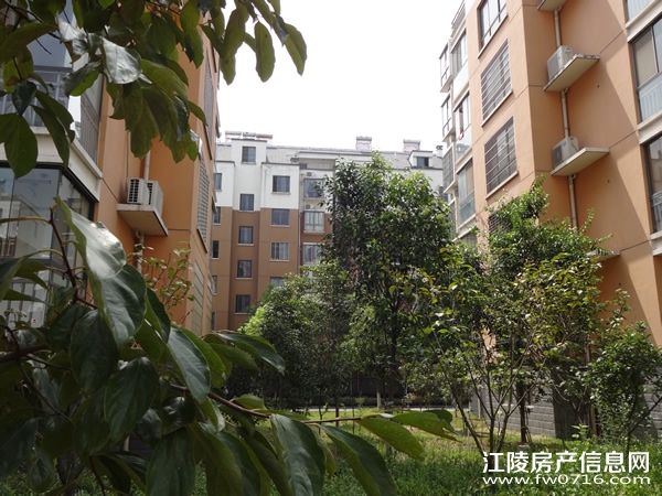 ������ֻ�԰