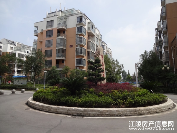 ������ֻ�԰