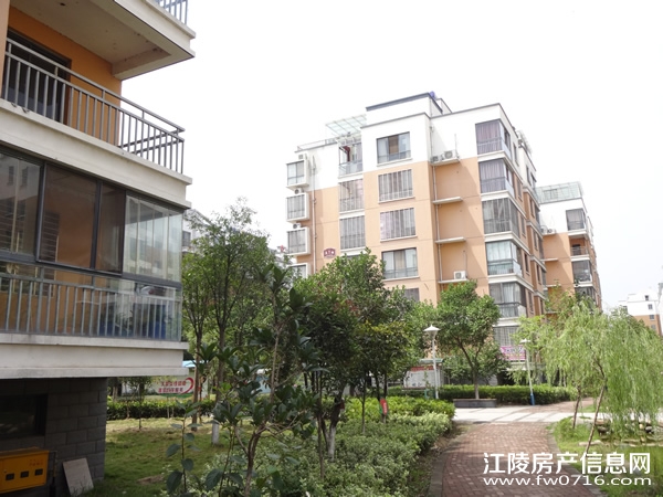 ������ֻ�԰