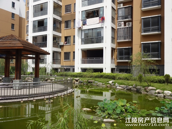 ������ֻ�԰