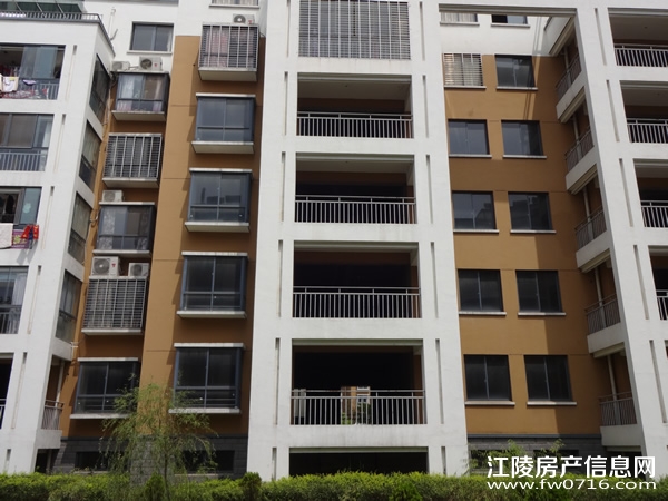 ������ֻ�԰