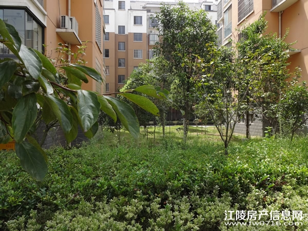 �����ذ��ֻ�԰