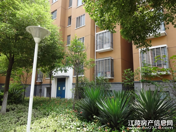 �����ذ��ֻ�԰