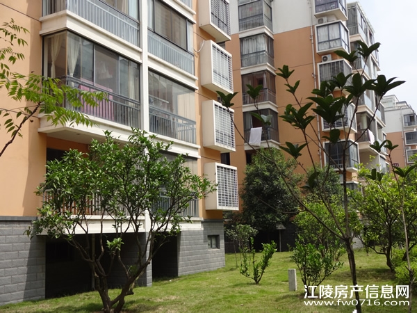 �����ذ��ֻ�԰