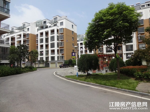 �����ذ��ֻ�԰