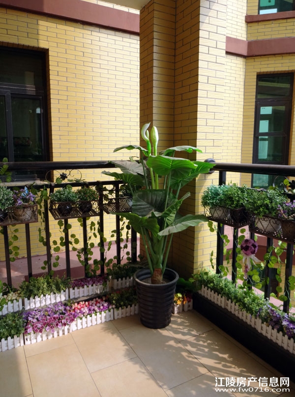 �������ǽ�����ͥ�����