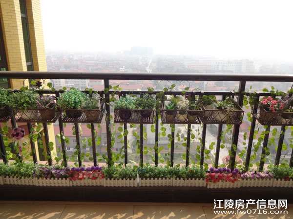 �������ǽ�����ͥ�����