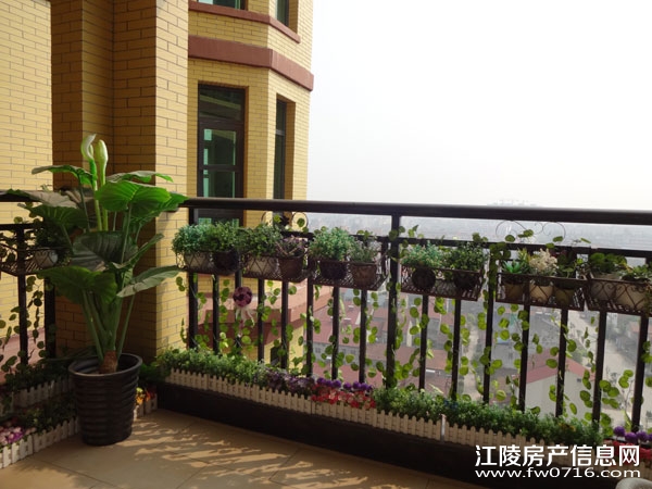 �������ǽ�����ͥ�����