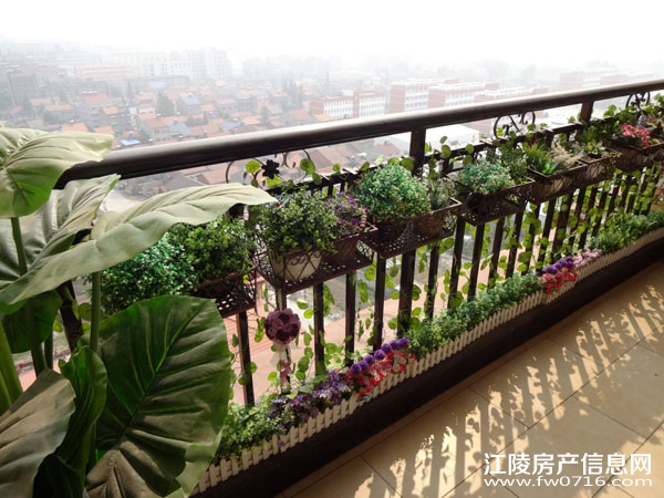 �������ǽ�����ͥ�����