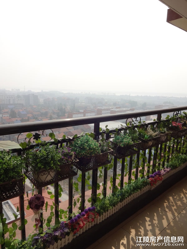 �������ǽ�����ͥ�����