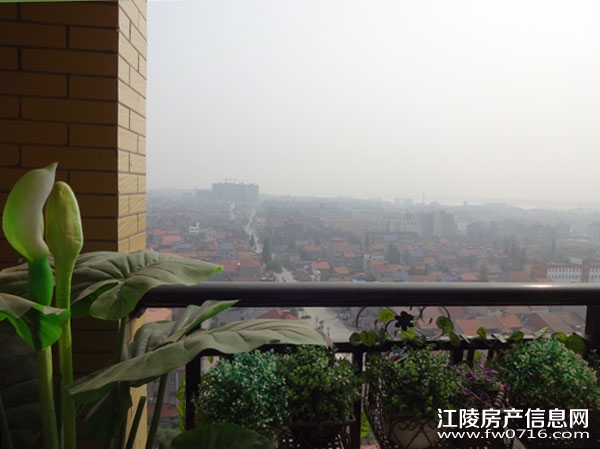 �������ǽ�����ͥ�����