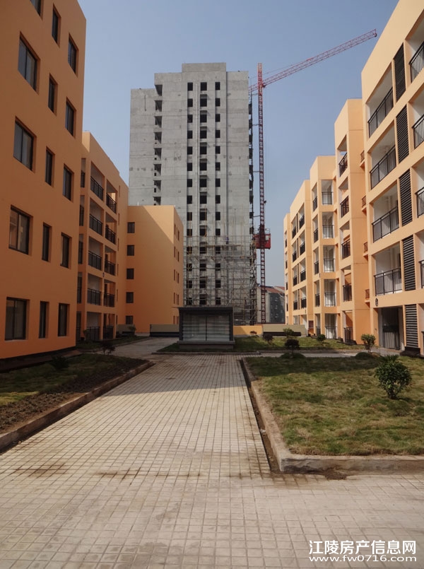 �����Ѩ���г�