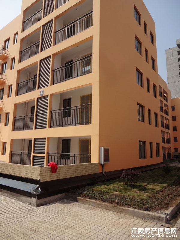 �����Ѩ���г�