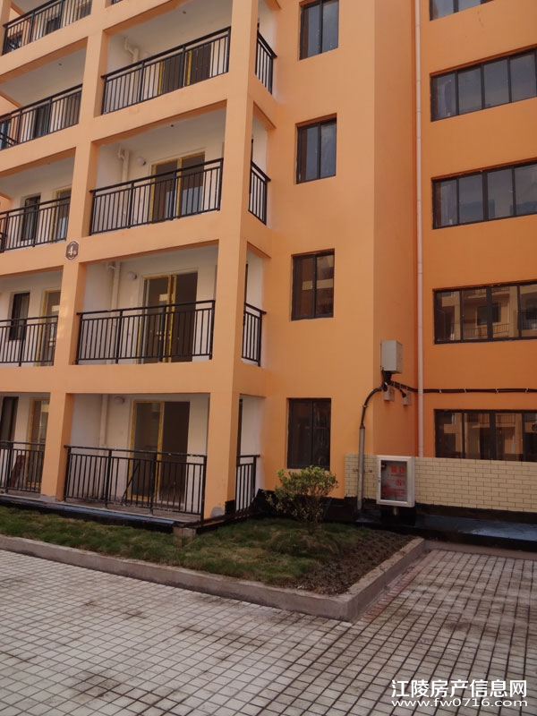 �����Ѩ���г�����