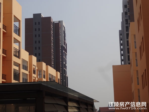 �����Ѩ���г�����