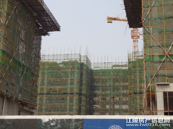 �������ݽ���Ͱ�����뵺