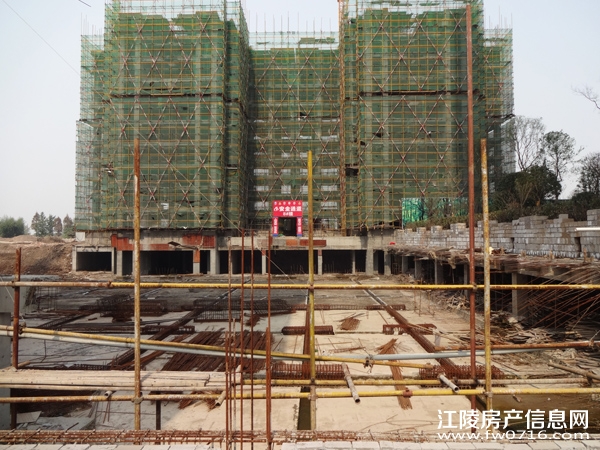 �������ݽ���Ͱ�����뵺