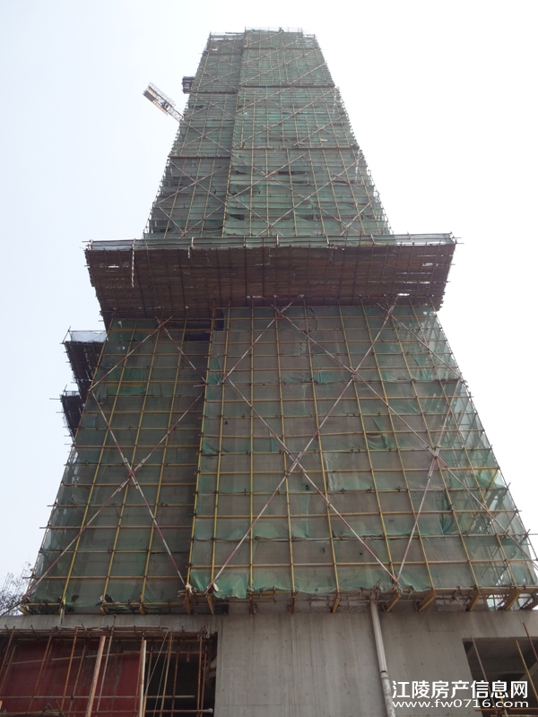 �������ݽ���Ͱ�����뵺