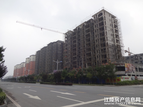 �������ݽ�����ֻ�԰