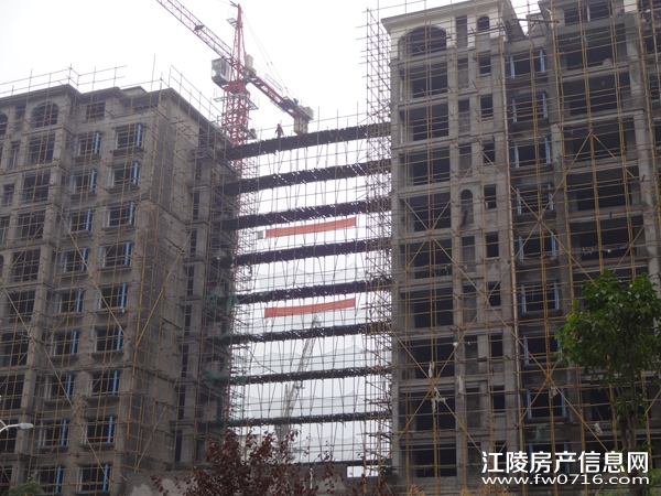 �������ݽ�����ֻ�԰