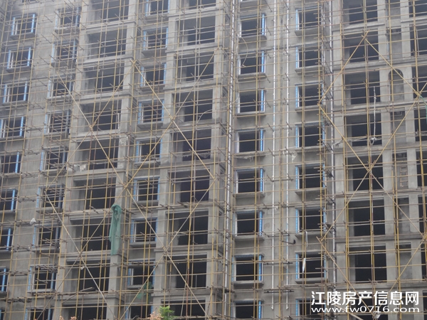 �������ݽ�����ֻ�԰