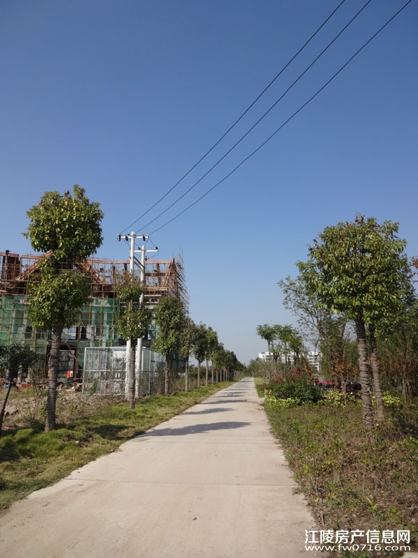 ��������̲�����