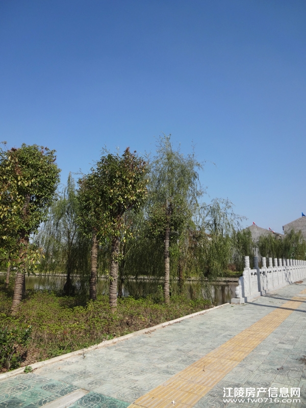 ��������̲�����