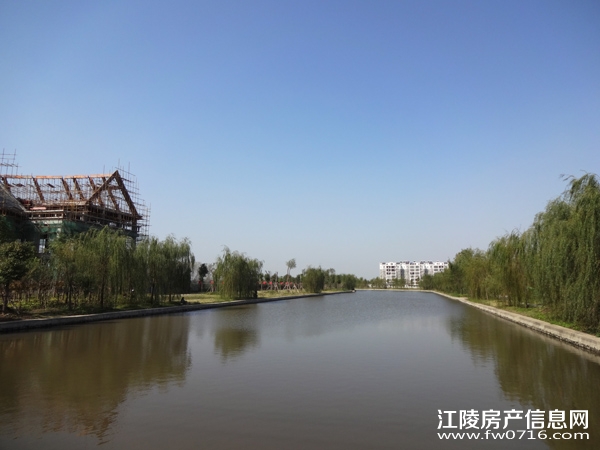 ��������̲�����