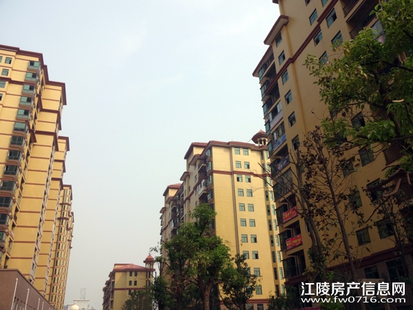 ���꽭����ͥ11����Ŀ����