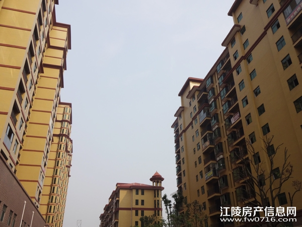 ���꽭����ͥ11����Ŀ����