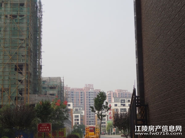 ���꽭����ͥ������ֻ�԰