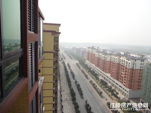 ������ֻ�԰�������ǽ�����ͥ