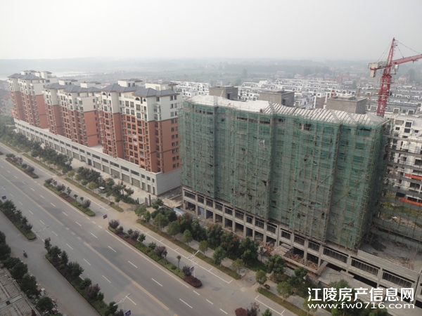 ������ֻ�԰�������ǽ�����ͥ