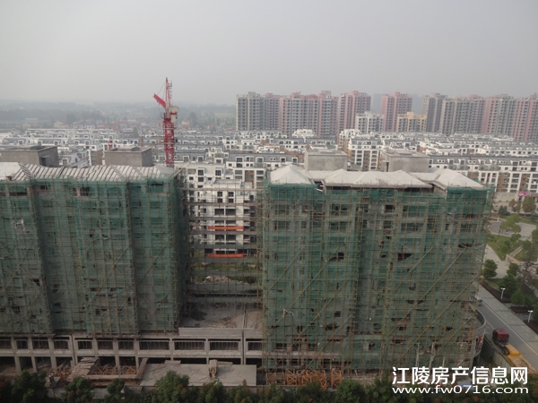 ������ֻ�԰�������ǽ�����ͥ