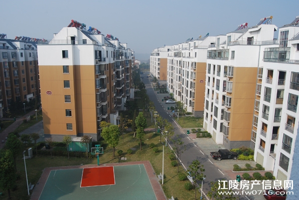 �������������ֻ�԰С��